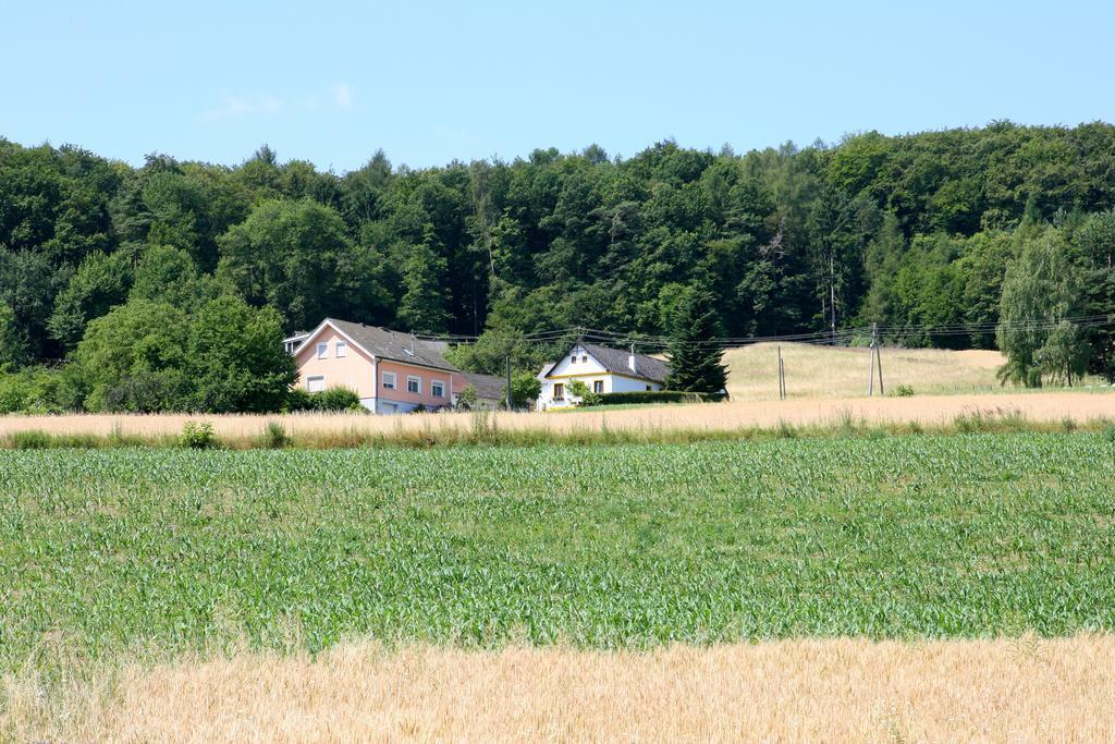Ferienhaus Kranz Villa Gerersdorf bei Güssing Esterno foto